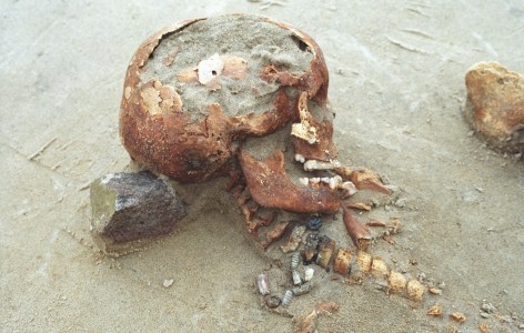 Click to zoom the picture.